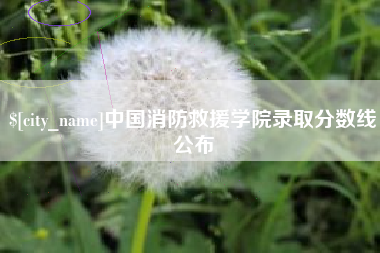 杞县中国消防救援学院录取分数线公布