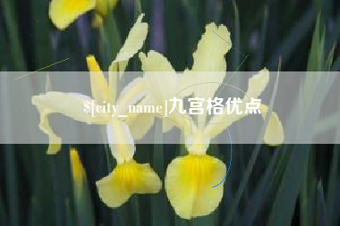 杞县九宫格优点