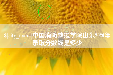 杞县中国消防救援学院山东2020年录取分数线是多少