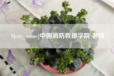 杞县中国消防救援学院 老师