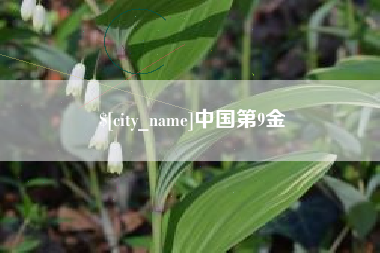杞县中国第9金
