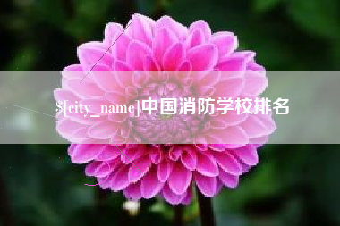 杞县中国消防学校排名