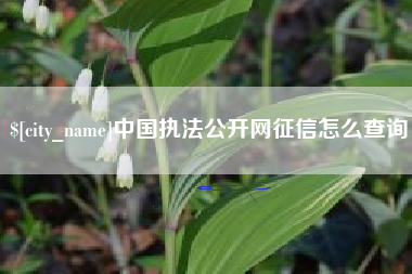 杞县中国执法公开网征信怎么查询