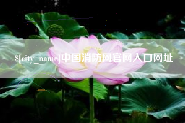 杞县中国消防网官网入口网址