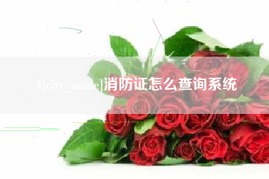 杞县消防证怎么查询系统