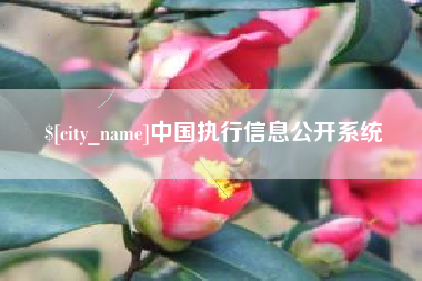 杞县中国执行信息公开系统