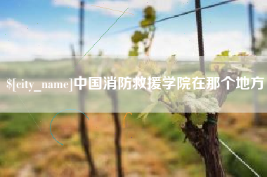 杞县中国消防救援学院在那个地方
