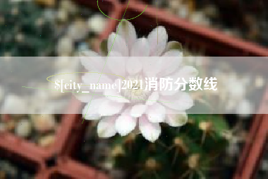 杞县2021消防分数线