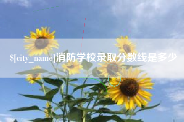 杞县消防学校录取分数线是多少