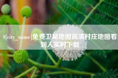杞县免费卫星地图高清村庄地图看到人实时下载