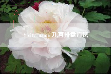 杞县九宫排盘方法