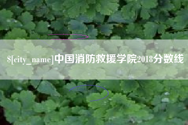 杞县中国消防救援学院2018分数线