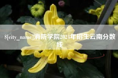 杞县消防学院2024年招生云南分数线