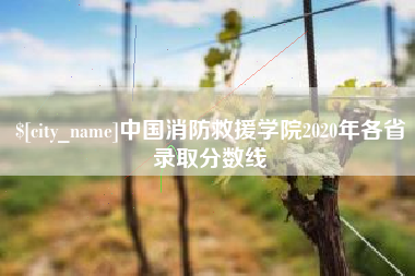 杞县中国消防救援学院2020年各省录取分数线