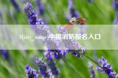 杞县中国消防报名入口