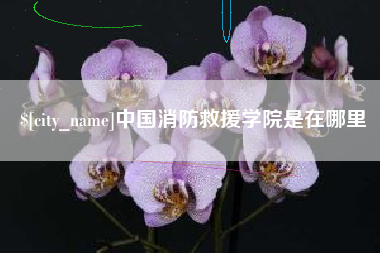 杞县中国消防救援学院是在哪里