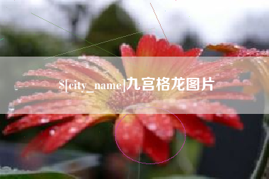杞县九宫格龙图片