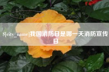 杞县我国消防日是哪一天消防宣传日
