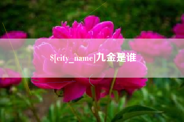 杞县九金是谁