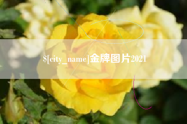 杞县金牌图片2021