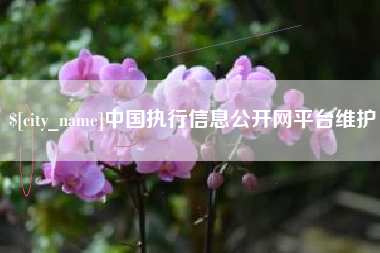 杞县中国执行信息公开网平台维护
