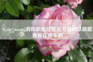 杞县消防职业技能证书查询以前能查现在查不到