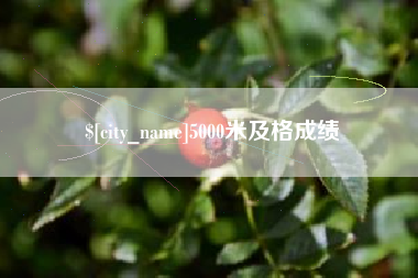 杞县5000米及格成绩