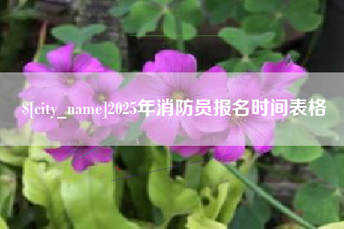 杞县2025年消防员报名时间表格