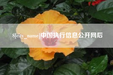 杞县中国执行信息公开网后
