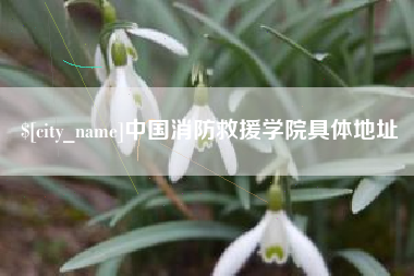 杞县中国消防救援学院具体地址
