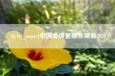 杞县中国金牌是哪些项目2021