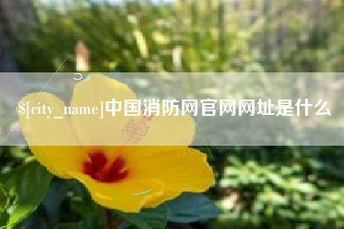 杞县中国消防网官网网址是什么