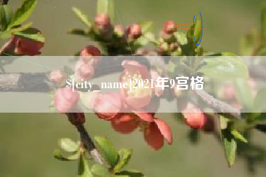杞县2021年9宫格