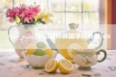 杞县中国消防救援学院分数2020