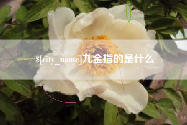 杞县九金指的是什么