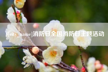 杞县消防日全国消防日主题活动