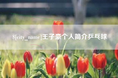 杞县王子豪个人简介乒乓球