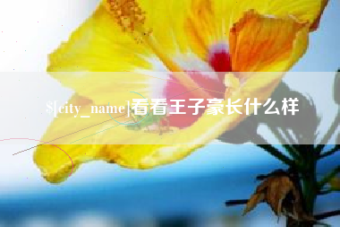 杞县看看王子豪长什么样