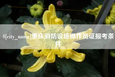 杞县重庆消防设施操作员证报考条件