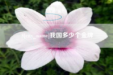 杞县我国多少个金牌