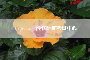 杞县全国消防考试中心