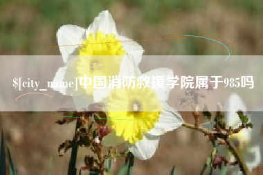 杞县中国消防救援学院属于985吗
