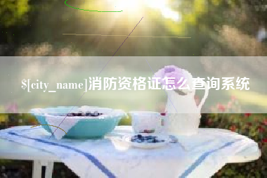 杞县消防资格证怎么查询系统