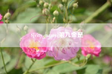 杞县第九金是
