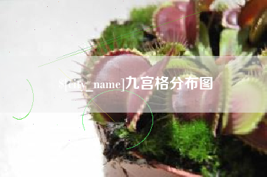 杞县九宫格分布图