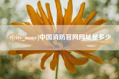 杞县中国消防官网网址是多少