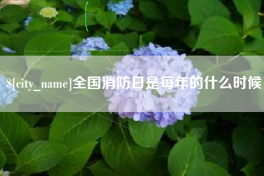 杞县全国消防日是每年的什么时候