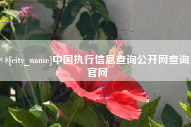 杞县中国执行信息查询公开网查询官网
