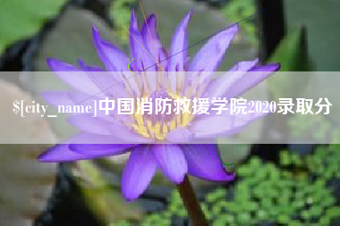 杞县中国消防救援学院2020录取分