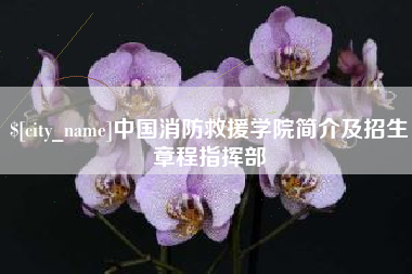 杞县中国消防救援学院简介及招生章程指挥部